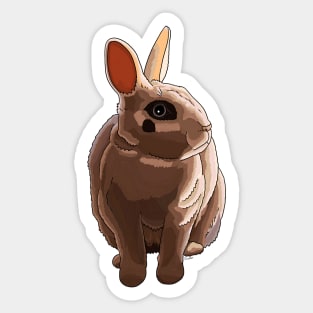 Dwarf Hotot Rabbit Sticker